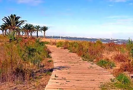 Albaranas Locdenia *